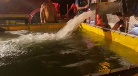 Recycling/Scrapyard fire Strong Mount Carmel Township Pennsylvania