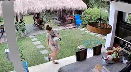 Woman has a fright when snake slithers past her in garden
