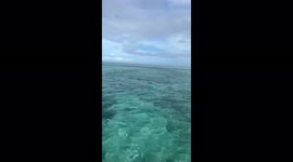 Fiji Wonders