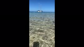 Beautiful Island of Fiji
