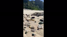 Sand life matters