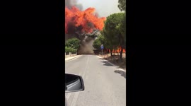 Fiery blaze threatens residential areas in Almancil, Portugal