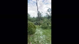 Storm slams central New York, leaves trail of damage