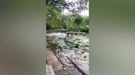 Hundreds of fish leap out of lake in China