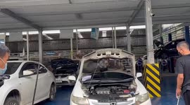 Pregnant python found curled up inside car engine with her eggs