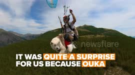 This young man managed to teach his dog how to paraglide. Now it's their best past-time activity.