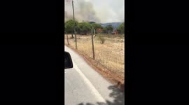 Portugal: Wildfire Breaks Out In Algarve, Evacuation Orders Issued 2