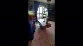 2.2 million views for hilarious dancing cactus getting whined at by Bracco Italiano