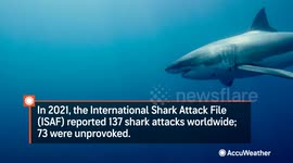 Florida county stands out as shark attack capital of the world
