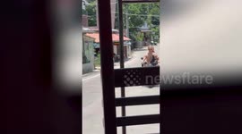 Pet dog rides on motorcycle with two tourists