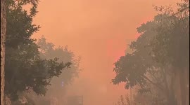 Croatia: Forest Fire Breaks Out Near Sibenik, Dalmatia