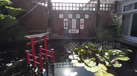 UK dad spends 13 years transforming backyard into incredible Japanese garden
