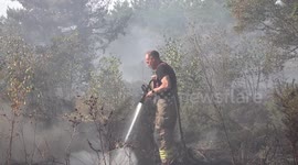 Firefighters battle to extinguish blaze in Hampshire's Yateley Common