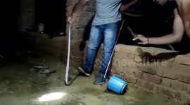 Snake bites chicken after sneaking into house in central India