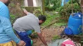 Snake gets caught in fishnet in central India, rescued