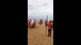 Many people take part in the challenge of playing giant volleyball on the beach