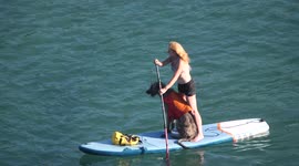 Dog-gone hot out there! Paddleboarding woman takes huge Irish wolfhound to sea in Cornwall, UK