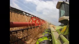 ASMR footage of farming machinery harvesting crops in a Yorkshire field