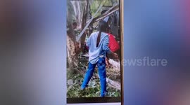 Helicopter crashes during emergency landing after tangling with trees in Thailand