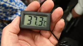 London Underground’s Central Line hits 37.3C during rush-hour on hottest day