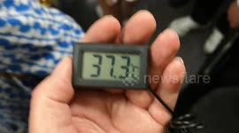London underground announces most lines will be delayed due to scorching 37C heat