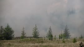 Major Gorse Fire In Omagh - 1
