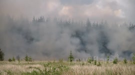 Major Gorse Fire In Omagh - Clip 2