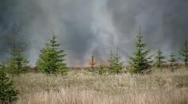 Major Gorse Fire In Omagh - Clip 4