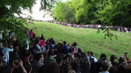 Cheese Rolling 2013 Race #3 @ Cooper's Hill, Gloucestershire, UK