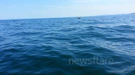 Sustainable Mackerel Hand Line Fishing.