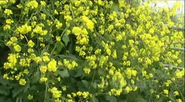 Torcross in South Devon on mid-summer day.