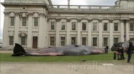 Greenwich and Docklands International Festival