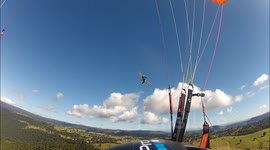 Video shows dramatic midair collision between hanglider and paraglider in Australia's Gold Coast Hinterland