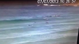 CCTV SHOWS MOMENT SURFER IS KO'D BY WHALE