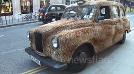 Velvet Ferrari? Try This Tiger Fur Taxi In London!!!!!