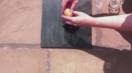 fried egg on granite sans audio