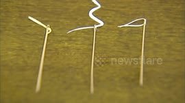 Cooks show amazing skills of slicing tofu into thread size