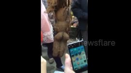 Villager sells human-shape plant in China