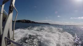 All at Sea