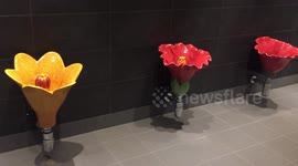 Prettiest male toilets ever?