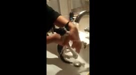 Stray kitten given a bath by new mum