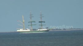 Cute Puppy Sees Sea For First Time. Sink or swim?