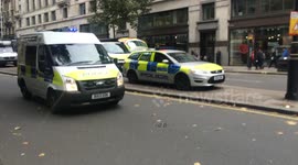 Police arriving to assist at Sikh protest in London
