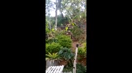 Man falls over twice in ten seconds while descending slope