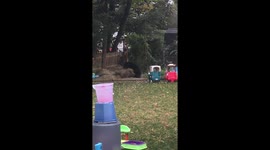 Spartanbear