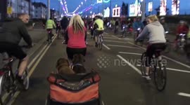 2 dogs take owner for a ride