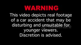 I Hit A Deer 5 Hours After Buying My Car