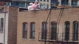 Giant pink bear thrown off roof