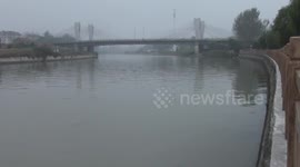 Dead fish appear on polluted river in China