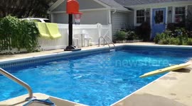 Little dog pushes surf board into pool to get her ball!